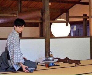 自分史 フリーの茶人開始初期編 22歳~25歳まで